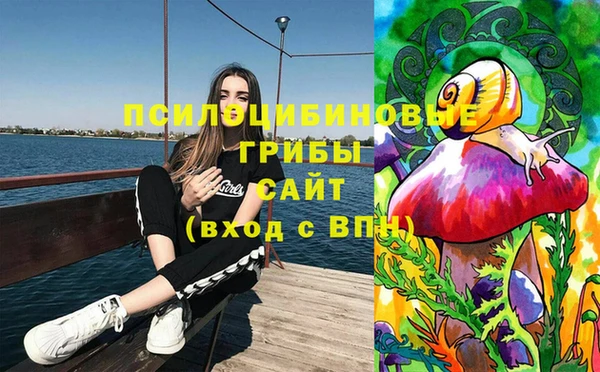 шишки Абаза