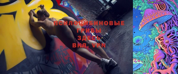 ГАЛЛЮЦИНОГЕННЫЕ ГРИБЫ Абдулино