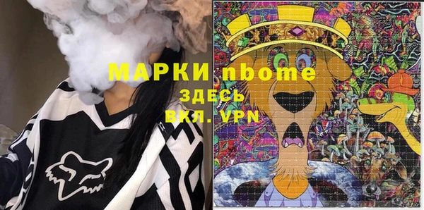 шишки Абаза